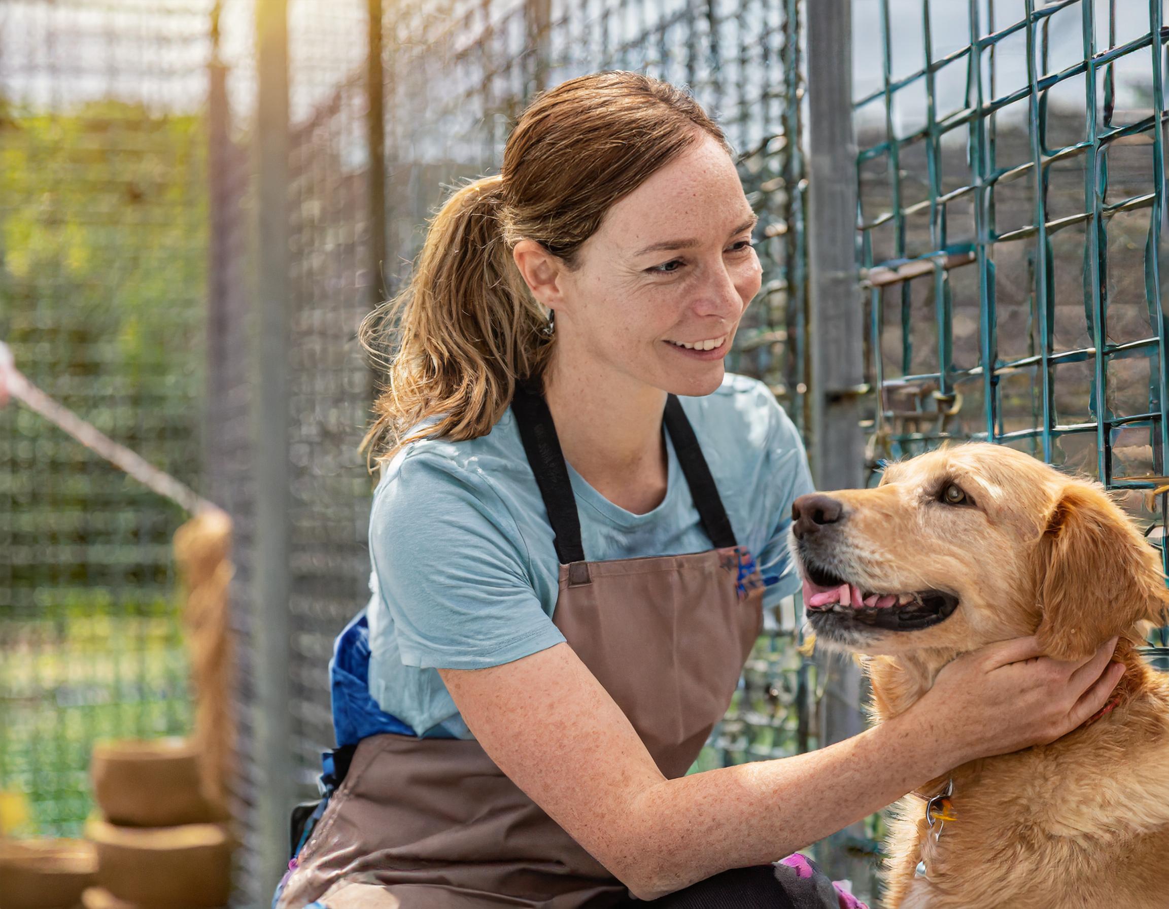 Kontaktformular Hundepflege